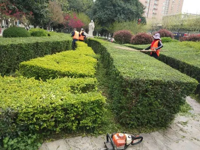 贵阳赞景绿化工程