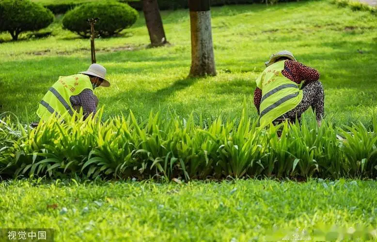 上虞城市绿化护栏规范